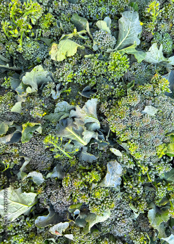 Pile of fresh broccolini at a market stand