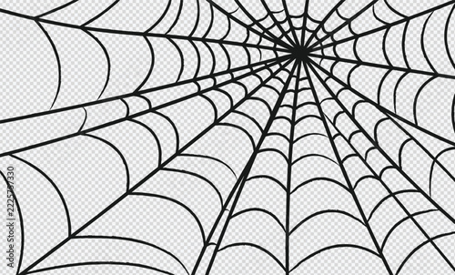 Black Spiderweb Vector Illustration on Transparent Background