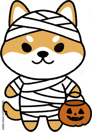 Mummy Shiba Inu / Halloween mummy Shiba Inu