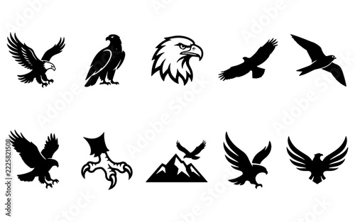 eagle mascot, falcon silhouette, hawk head, eagle claw, eagle talon, mountain eagle, soaring hawk, soaring eagle, eagle wings, predator bird, falcon head, wildlife mascot, eagle crest, american eagle,