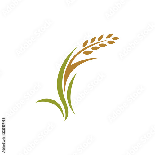 Minimalist icon of a rice plant