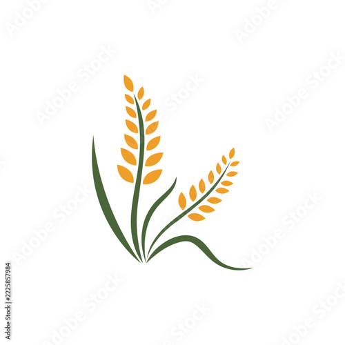 Minimalist icon of a rice plant