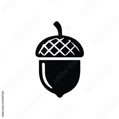 vector illustration of hazelnut