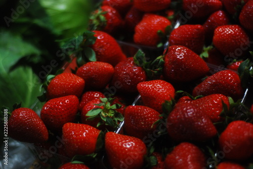 strawberries in the market