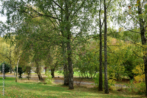 Landscape
