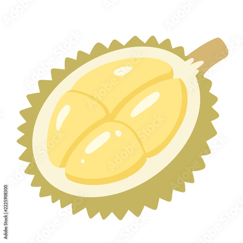 Durian half sliced tropical fruit king of fruits icon