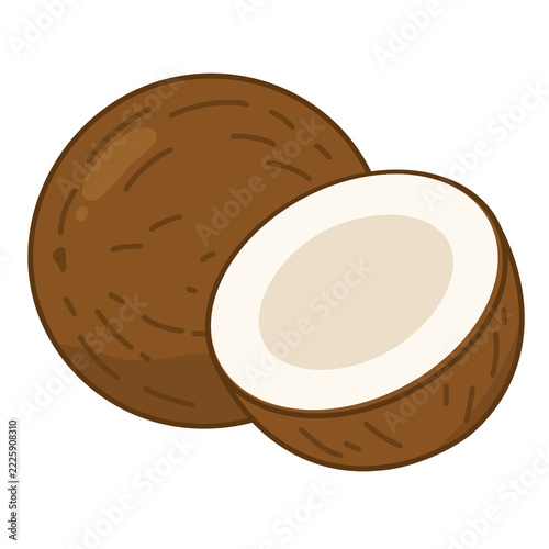 Coconut whole and half tropical fruit nut food icon