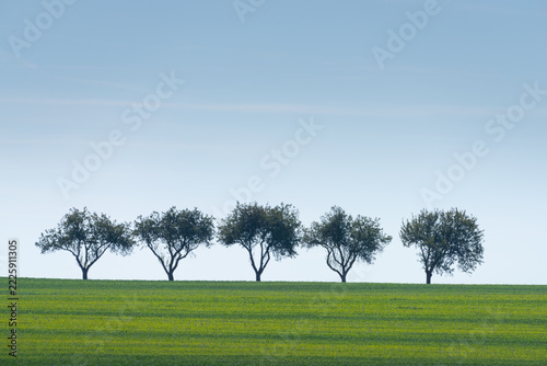 Typical colors of the landscape of South Moravia in the Czech Republic