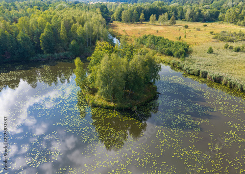 Lush green island in wetland ecosystem with forest