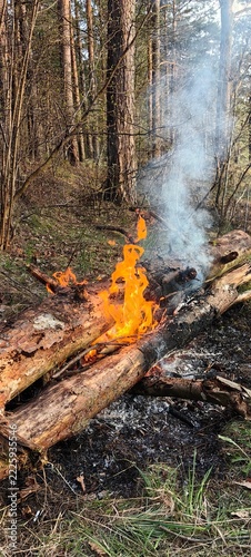 A bonfire with red flames burns on the riverbank.