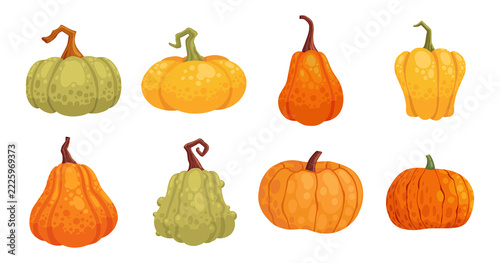 Vibrant pumpkin collection featuring autumn harvest gourds in vector format. Halloween-themed set with carved faces, simple icons, and whimsical illustrations for seasonal celebrations.