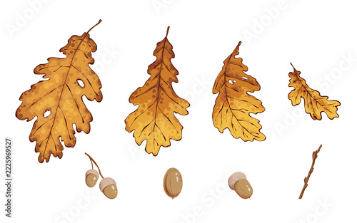 Cozy seasonal bundle with harvest theme, brown maple foliage, moon stamps, plaid frames, and cute for Thanksgiving postcards