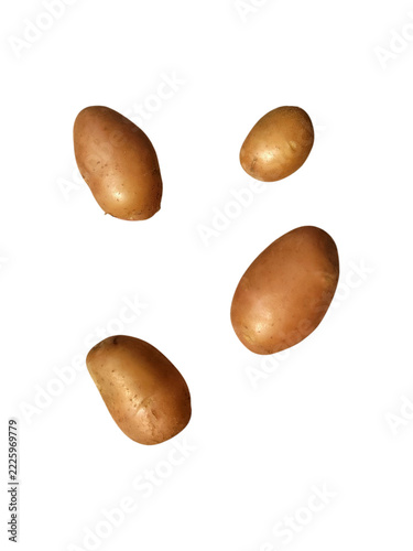 set of garden fresh potatoes flying in the air isolated