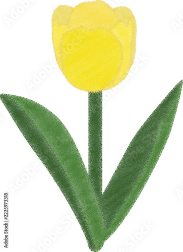 튤립 색칠하기