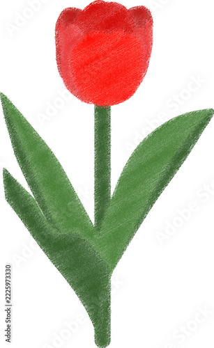 튤립 색칠하기