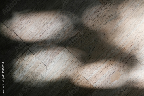 Sunlight filtering through the trees on wooden floor and shadow circle in the morning light.
