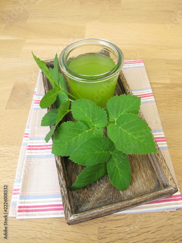 A glass of pressed ground elder leaf juice
