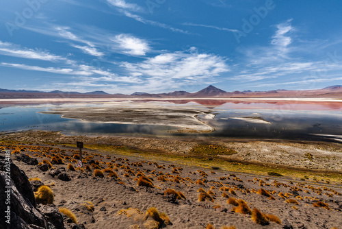 Panorama with a few hundred James and Chilean flamingos in the Canapa Lagoon in the Andes mountain range near the Uyuni salt flat, Bolivia.