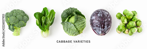 Cabbage varieties isolated on white background. Collection of broccoli, bok choy, savoy cabbage, red cabbage and brussels sprouts. Fresh vegetables