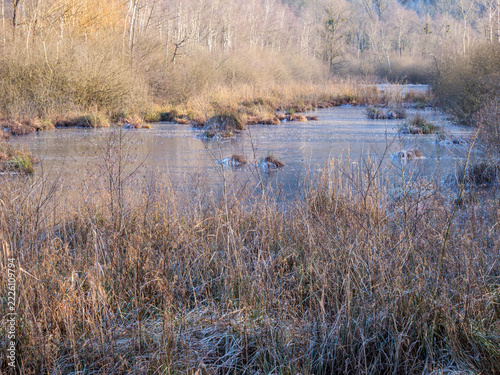 Frozen Herretang Wetland With Frosted Grasses In Winter