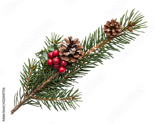 A sprig of green fir tree branch decorated with brown pine cones and a cluster of bright red holly berries against a solid black background, isolated on a, transparent background