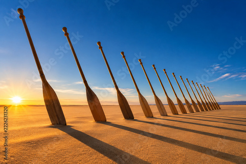 Row of wooden oars planted in golden sand at dawn, creating long shadows.
