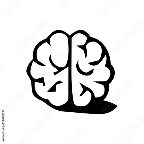 Brain Organ