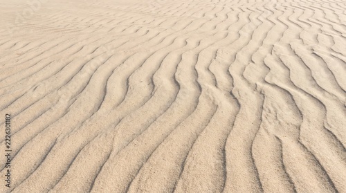 Rippling patterns in fine sand across a beach surface. Natural abstract texture for backgrounds and design. Minimalist coastal landscape, organic lines and neutral tones.