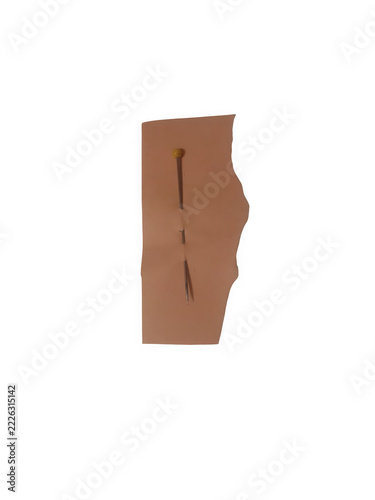 Leather scrap with pins isolated on white background