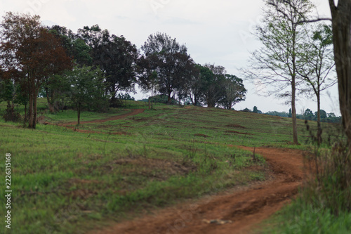 Scenic Landscape with Pathway in Yai Tourist Attraction Area