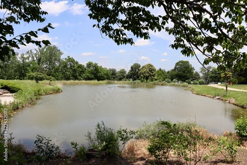 The quiet pond on a sunny day.