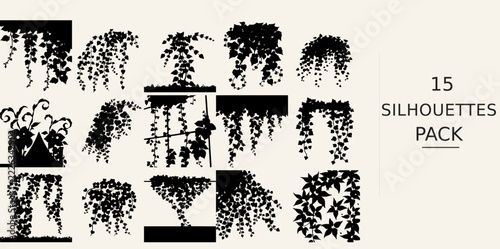 Ivy Growing on a Wall Silhouette Delicate Form Modern Silhouette Illustration Vector SVG Black Shape on White Background Clipart Graphic