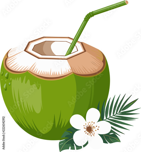 Tropical vacation features fresh coconut drink with straw, hibiscus flower, and palm leaf for summer resort branding.