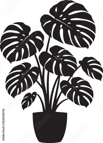 Monstere Plant Silhouette in Decorative Pot Isolated on White Background Vector Illustration