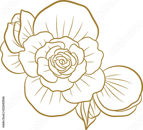 Elegant Golden Floral Line Art Illustration Botanical Design Element