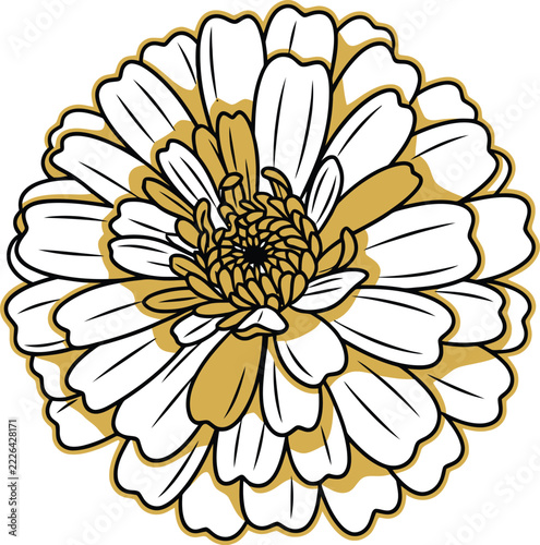 Elegant Detailed Zinnia Flower Illustration with Golden Petal Accents Modern Graphic