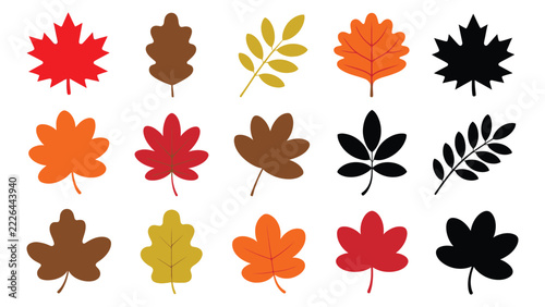 Colorful autumn leaves collection in vibrant shades