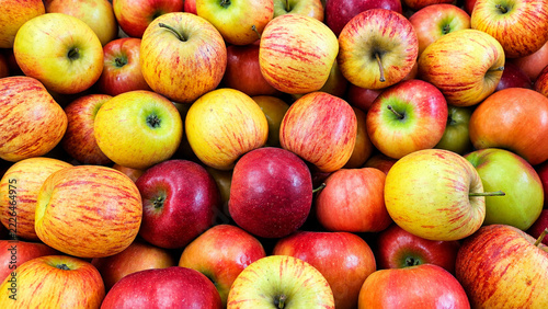 Natural Background of fresh, multicolored red and yellow apples