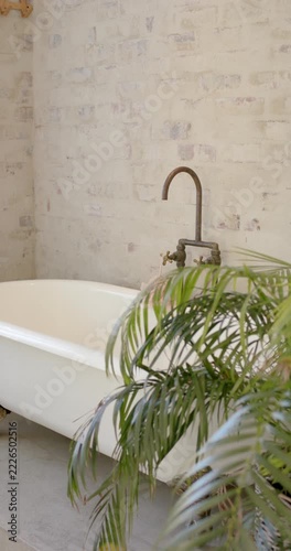 Vertical video: Camera is tilting up to reveal faucet and pink sponge, palm fronds are framing tub