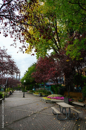 Promenade path recedes through Sainte-Anne-de-Bellevue beneath red and yellow leaves as terraced flowers and a picnic table fill the vertical foreground in soft overcast light.