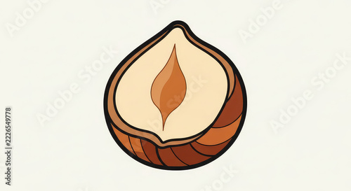 Hazelnut cross section showing kernel shell and texture for healthy