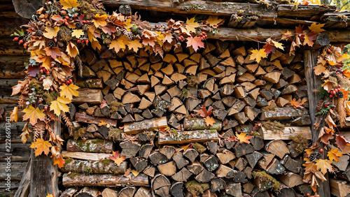 Stacked firewood framed by colorful autumn leaves