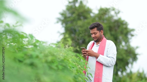 indian farmer using smartphone at pigeon pea agriculture field