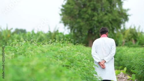 indian farmer looking pigeon pea plants at agriculture field