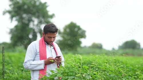 indian farmer using smartphone at pigeon pea agriculture field