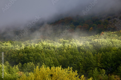 Autunno nel Parco Nazionale d'Abruzzo - Val Fondillo e Monte Amaro di Opi - Provincia di L'Aquila