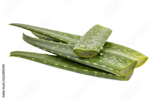 Aloe vera leaves with water droplets during natural lighting isolated on transparent background