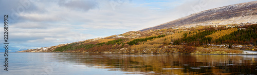 Panoramic view of scenic Icelandic fjord and snow-dusted mountains during autumn winter transition. Calm water reflection and hillside forest along Ring Road in Iceland.