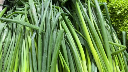Fresh green onion stalks piled beside curly lettuce at a grocery market, vegetable display, leafy greens, raw ingredients, healthy eating