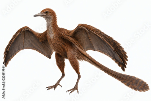 Ambopteryx longibrachium, an Extinct Dinosaur with Membranous Wings